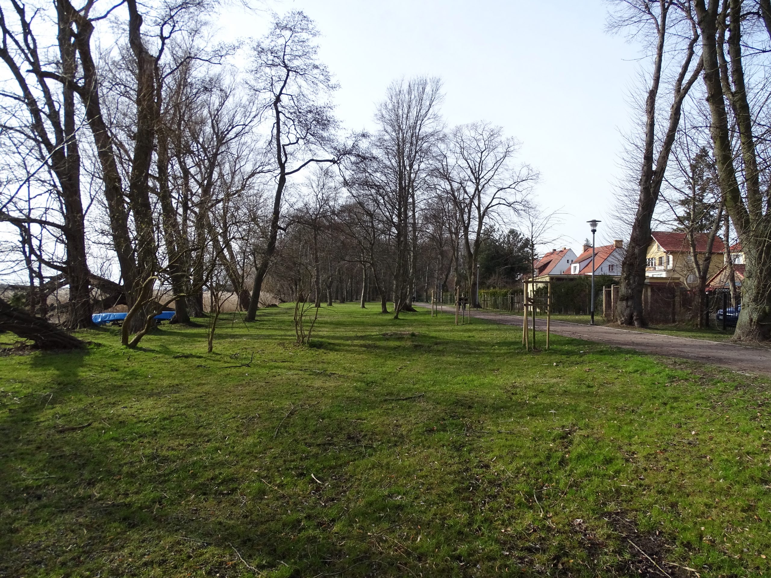Szczecinek (1)