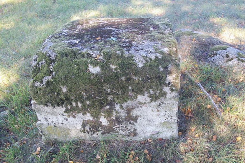 Dołgie