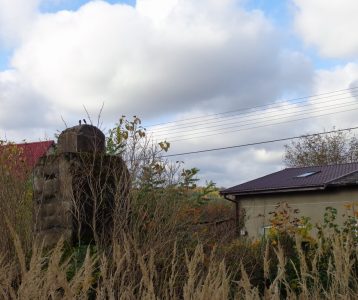 Tychówko